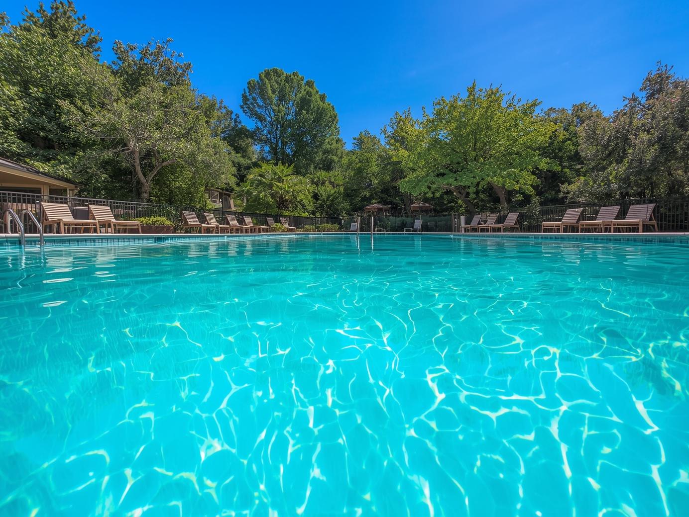 clean pool